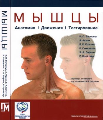 Мышцы. Анатомия. Движения. Тестирование