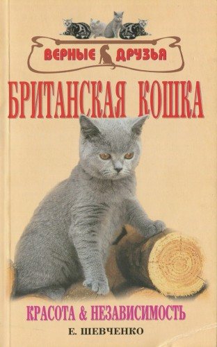 Британская кошка