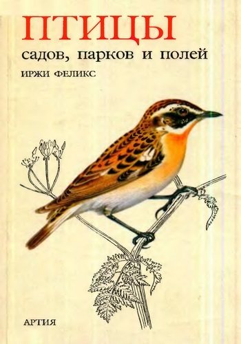 Птицы садов, парков и полей